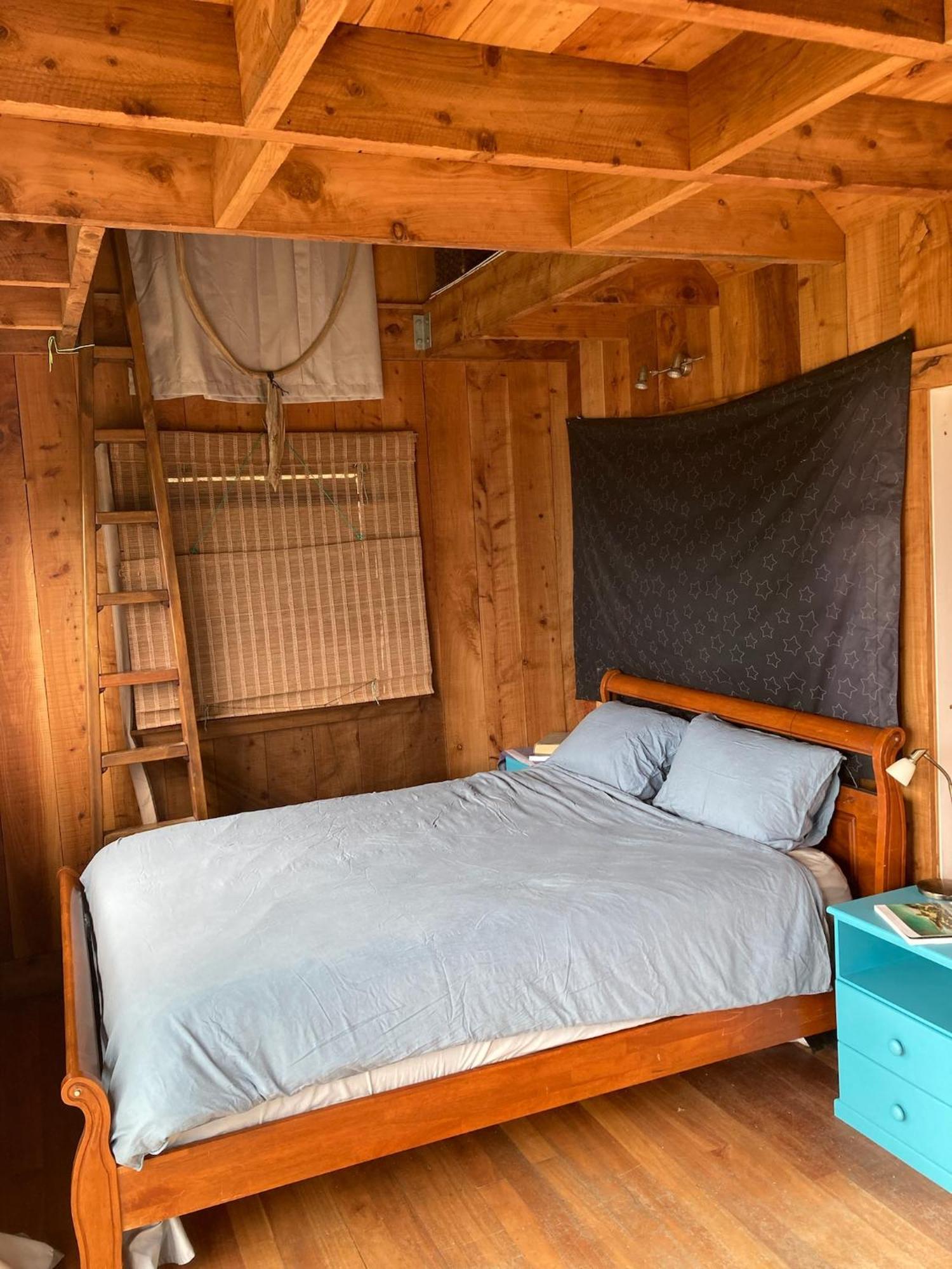 Kereru Cabin - Spectacular Seaviews, Rustic, Glamping Eco Adventure Palm Beach Ngoại thất bức ảnh